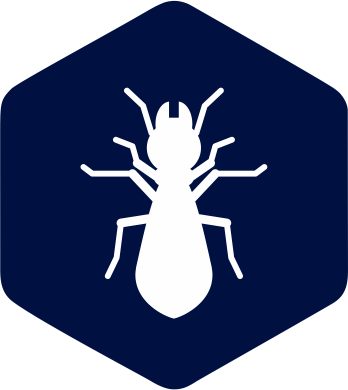 Kitchen Inc Pest Control